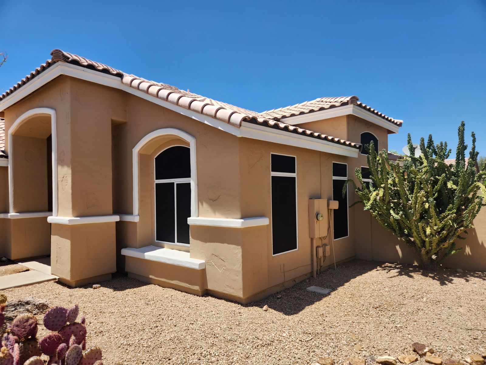 Window and Door Screen Repairs
